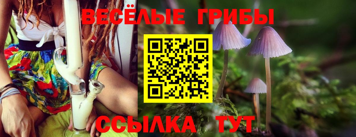 Ипатово  Галлюциногенные грибы Cubensis  Вход с VPN 