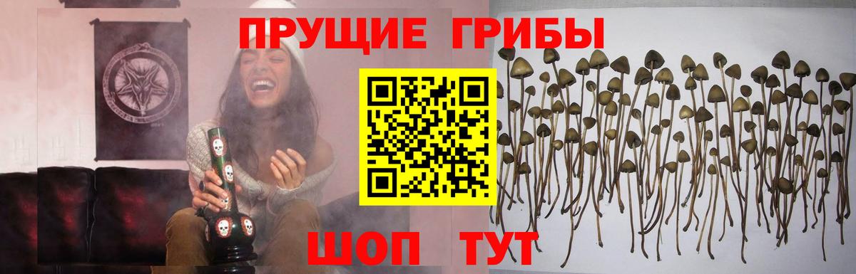 Псилоцибиновые грибы MAGIC MUSHROOMS Ипатово