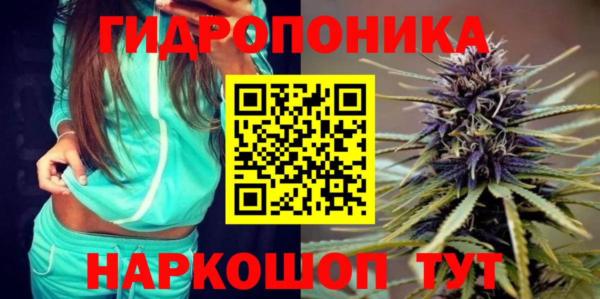 Каннабис Bruce Banner  Бошки марихуана OG Kush  Каннабис OG Kush  Вход с VPN  Канабис планчик  Ипатово 